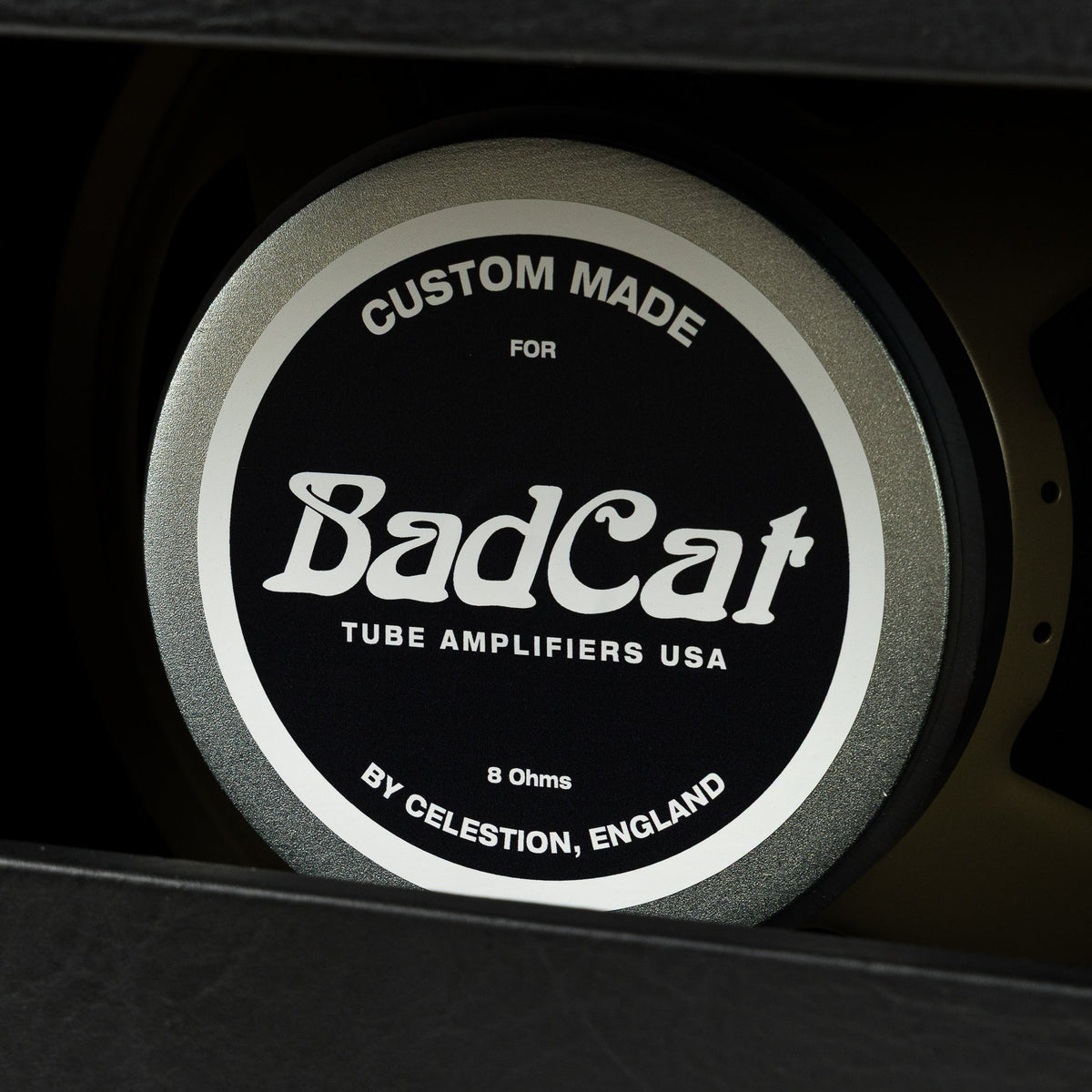 Bad Cat Cub V 40 watt Handwired Head & Era 1x12 Cabinet - Black w/Black Diamond Grille