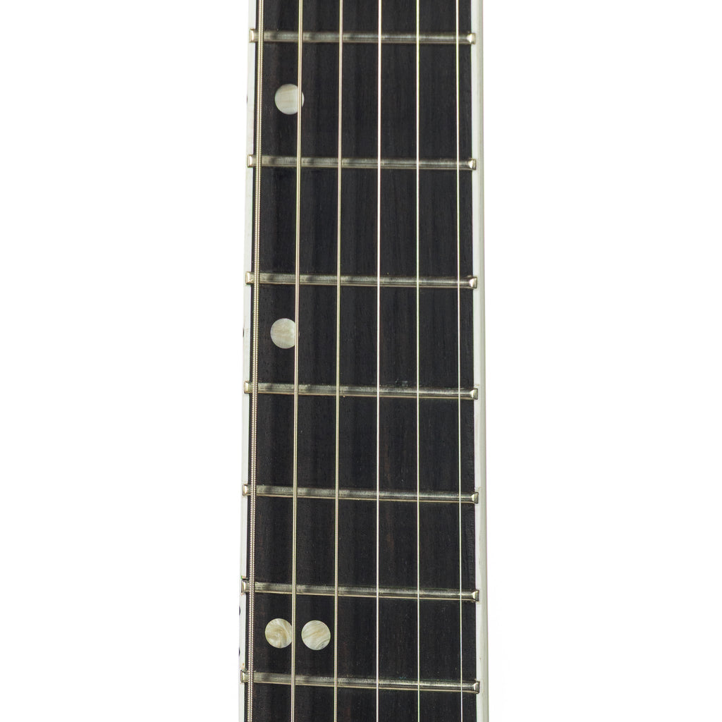 Gibson USA Victory Floyd Rose - Iguana Burst