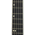 Gibson USA Victory Floyd Rose - Iguana Burst